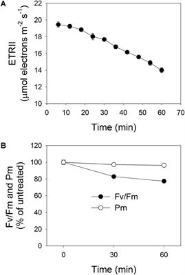 Moderate Photoinhibition of Photosystem II Significantly Affects Linear Electron Flow in the Shade-Demanding Plant Panax notoginseng